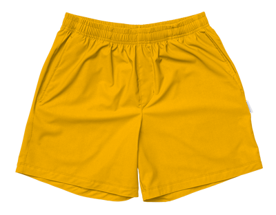 Men's Sublimated Journey Short 2.0