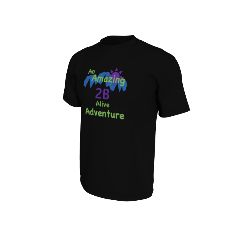Custom BASICS Solid Camp T-Shirt. (x 12)